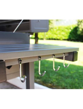BARBECUE DOTTO A CARBONELLA AUSTIN XXL