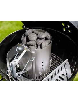 Weber Bricchetti 4 KG 17590