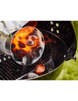 Weber Bricchetti 4 KG 17590
