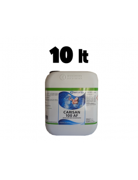 Antialghe NON schiumogeno - 10 lt - Senza solfato di rame