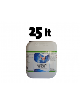 Antialghe NON schiumogeno - 25 lt - Senza solfato di rame
