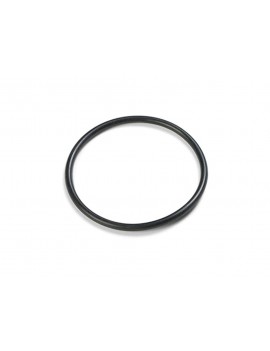 INTEX Guarnizione lato tubo per valvola plunger 10262