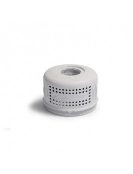 INTEX Alloggiamento cartuccia filtro per tutti i modelli spa 11798
