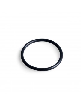 INTEX Guarnizione per filtro interno 12861