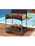 Barbecue FAMUR mod. BK 10 ELITE