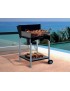 Barbecue FAMUR mod. BK 6 ECO