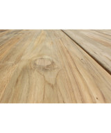 TAVOLO NEVIS 200 X 100