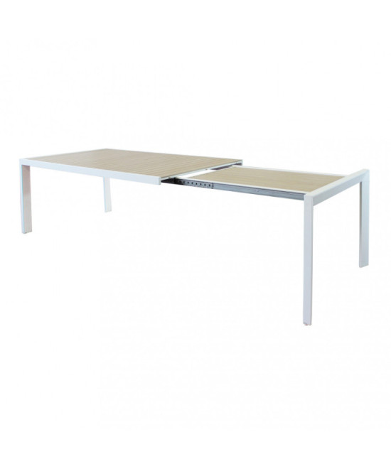 TAVOLO DETROIT ALLUNGABILE 190/250 X 100