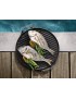 Outdoorchef piastra M