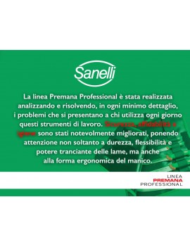 Acciaio Inossidabile Verde/Rosso Sanelli Premana Professional Coltello Disosso Curvo Stretto 