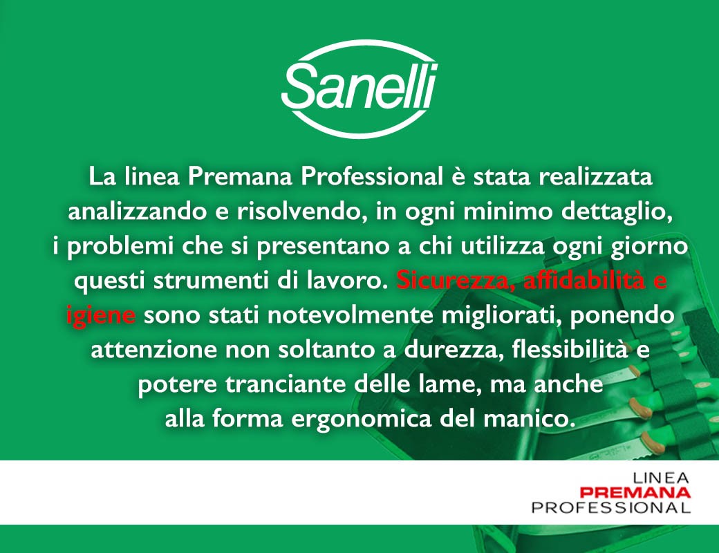 Sanelli trinciante 21 cm olivato Premana