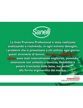 Sanelli forbici cucina inox 21 cm Premana